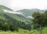 Сделайте отпуск незабываемым. Абхазия – еще одна страница поэзии Кавказа.